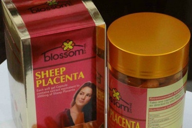 'Nhộm nhoạm' chất lượng nhau thai cừu